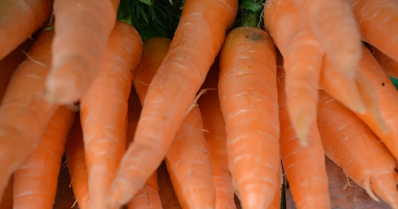 Les produits réellement disponibles en Rhône-Alpes et leurs usages